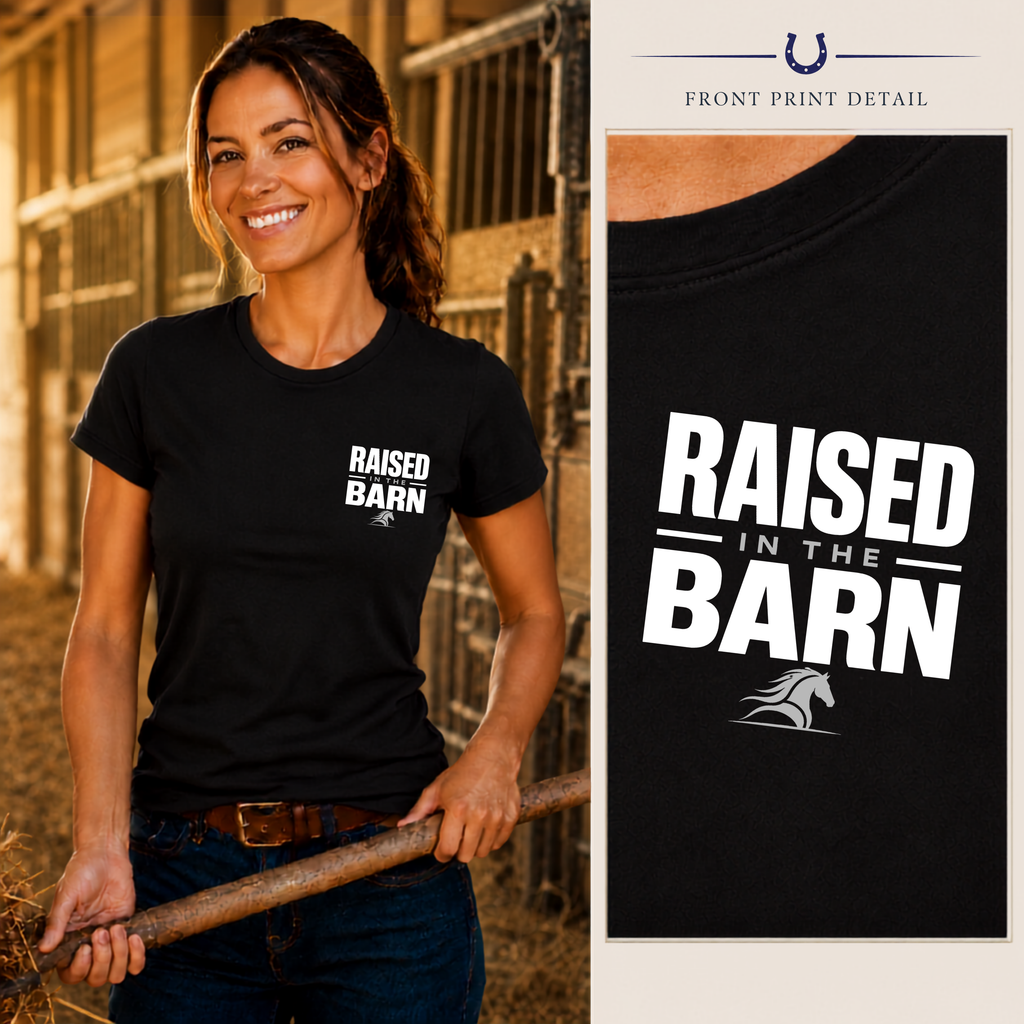 Barn Raised - Modern