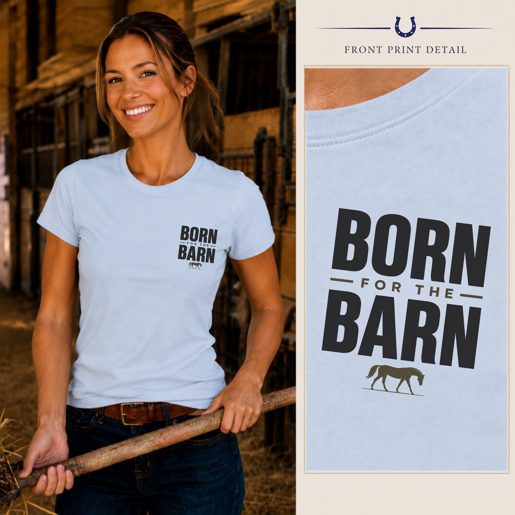 Barn Born - Modern
