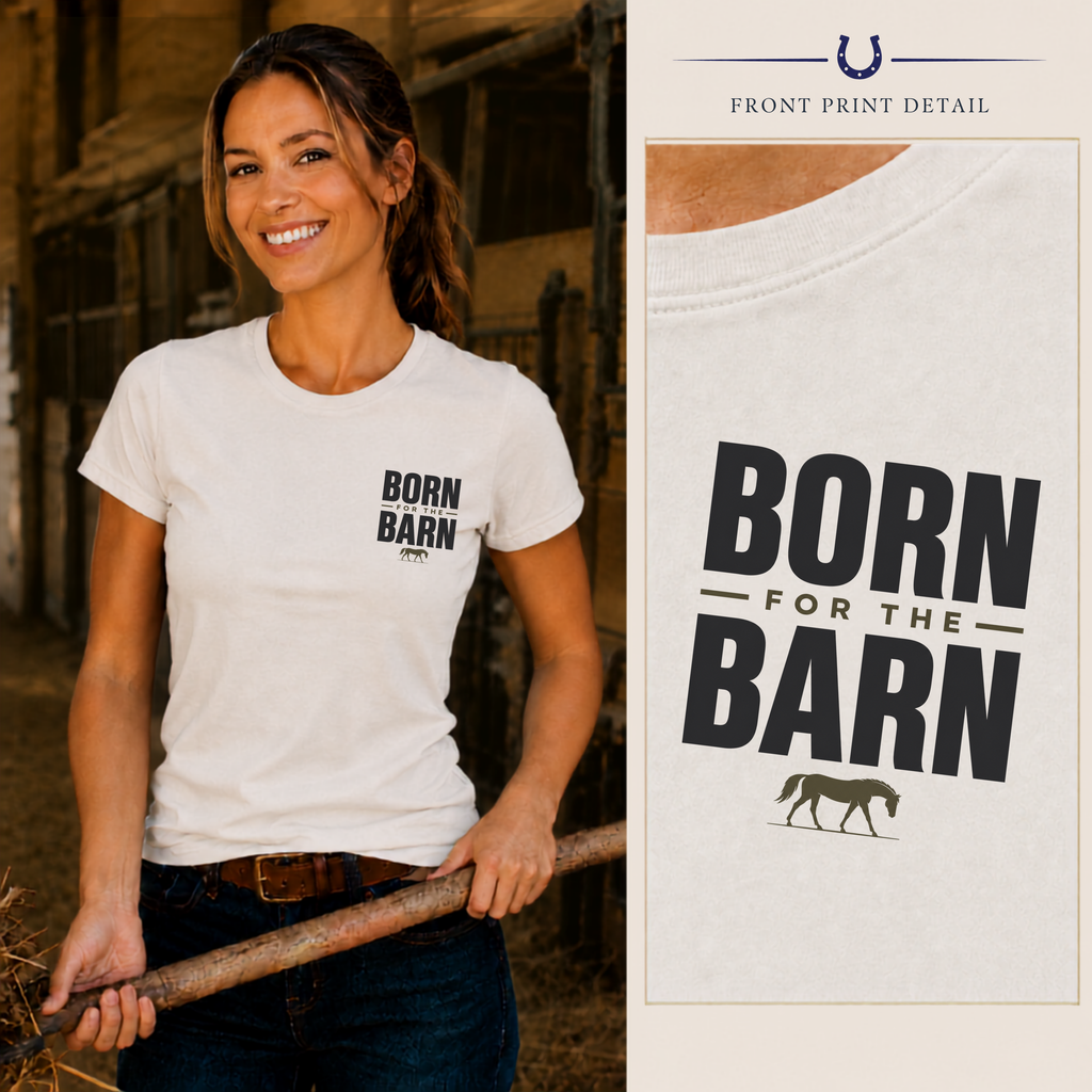 Barn Born - Modern
